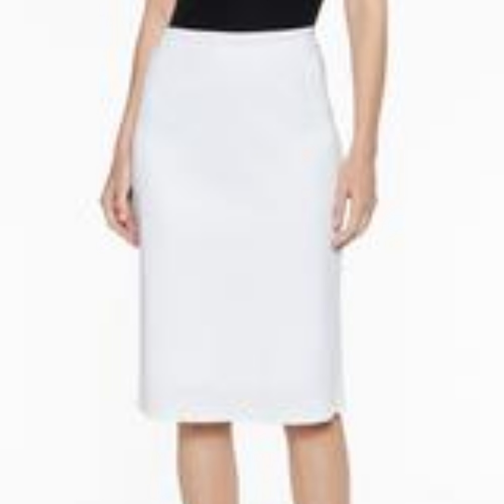 Ming Wang Classic Knitwear - Lined Skirt - NWOT